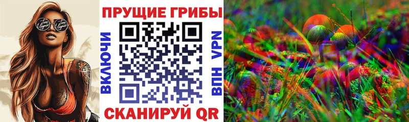 Псилоцибиновые грибы Psilocybine cubensis  что такое наркотик  Краснокаменск 